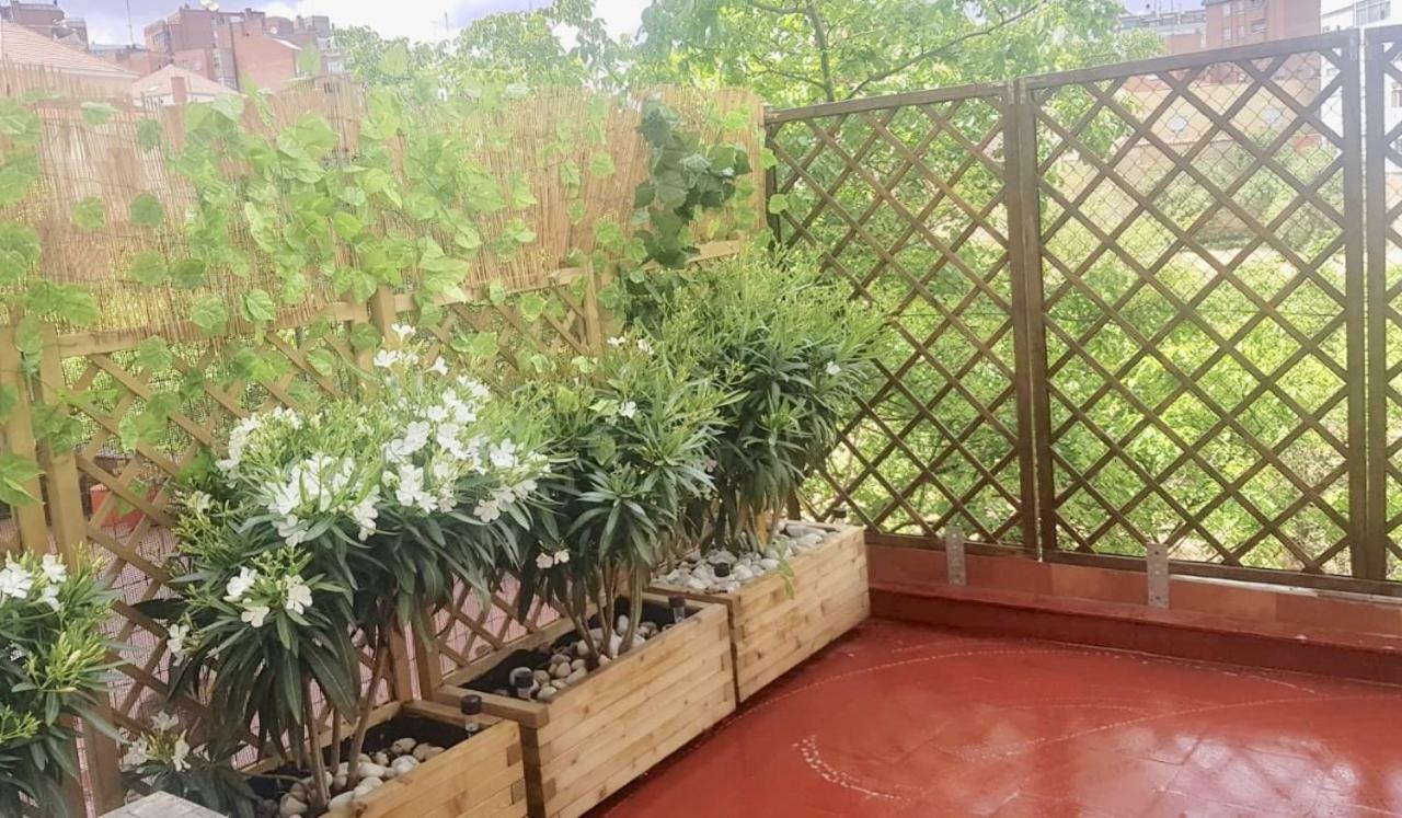 Apartamento San Quirce - Centrico Y Reformado- Wifi Y Netflix Valladolid Kültér fotó
