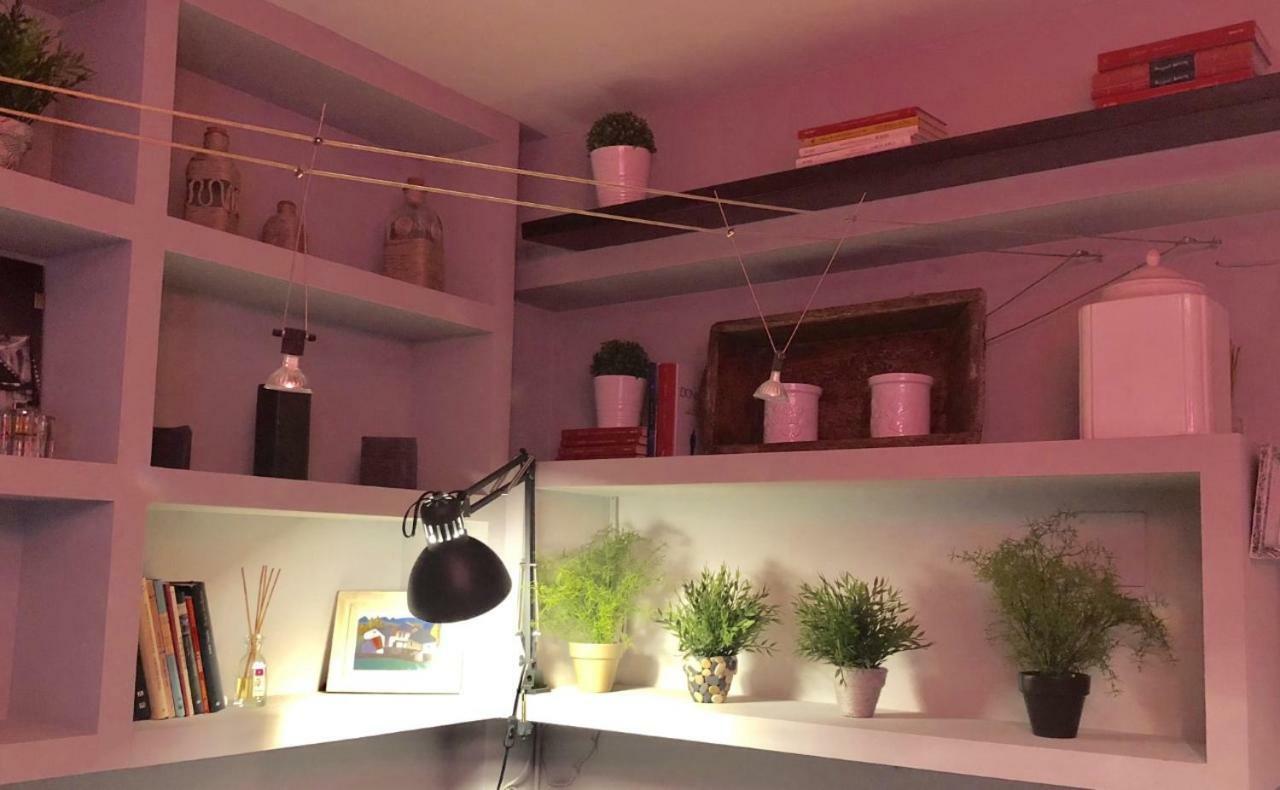 Apartamento San Quirce - Centrico Y Reformado- Wifi Y Netflix Valladolid Kültér fotó